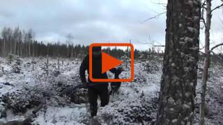 Embedded thumbnail for Korpi Makasiini traileri 2015